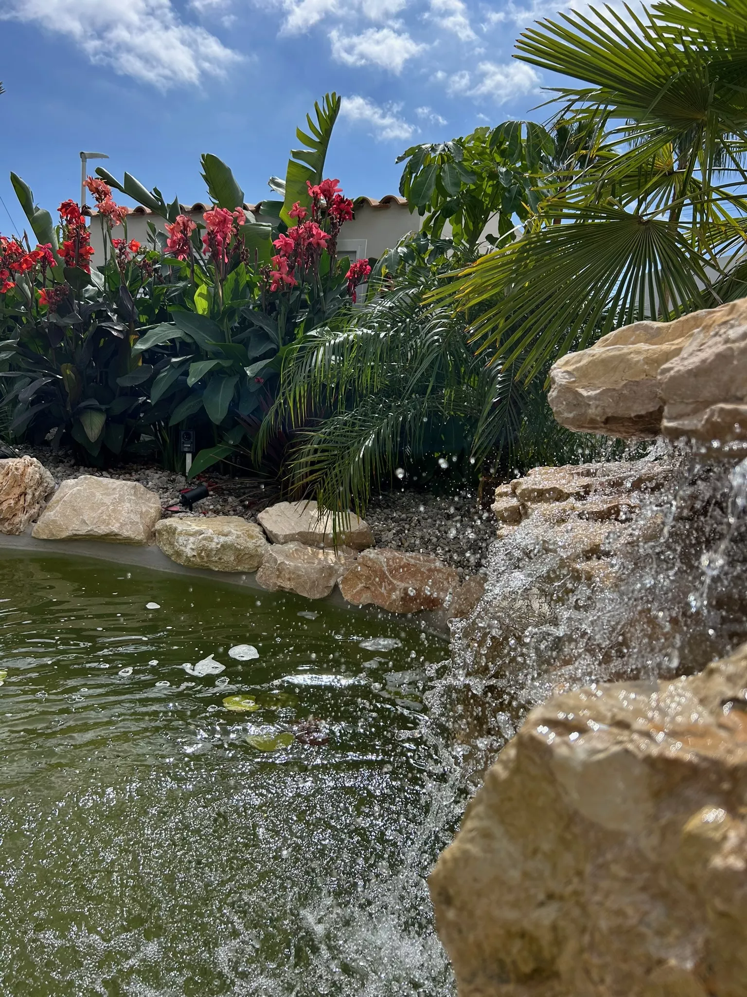Foto de jardín en la oficina de una constructora en Altea.