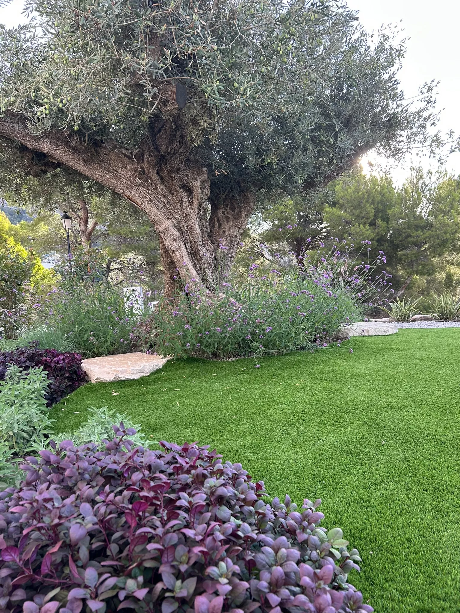 Foto de jardín en la oficina de una constructora en Altea.
