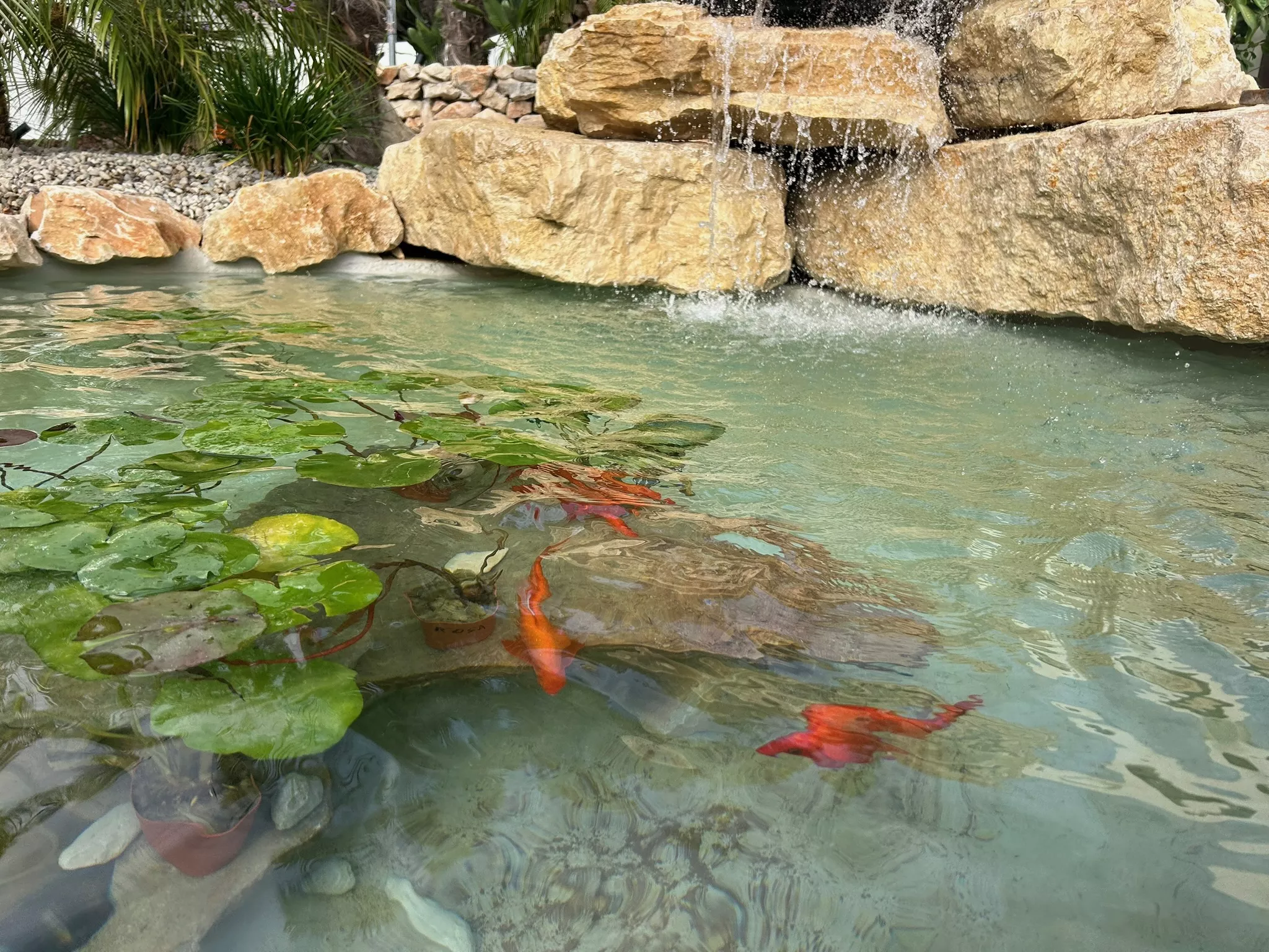 Foto de jardín en la oficina de una constructora en Altea.